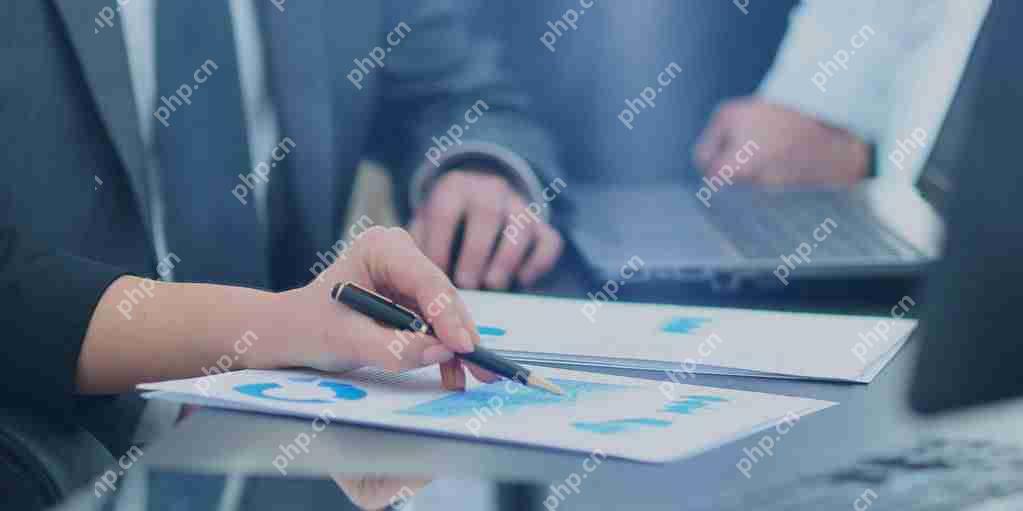 铁路软件开发一般用哪种语言？