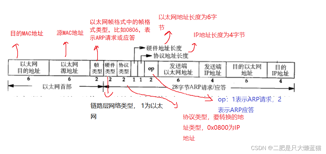 数据链路层：以太网/ARP协议