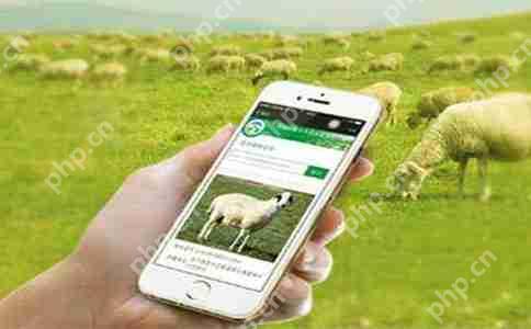 农场app开发都有哪些功能？怎么开发？