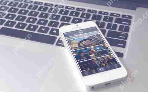 高级语言的类型系统和动态类型系统有何不同？