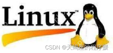 第一章:软件工程师必备的硬件基础