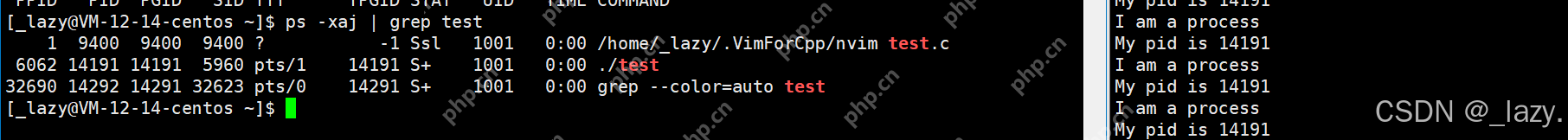 初识Linux · 进程（2）