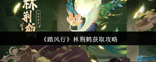 踏风行林荆鹤全攻略：坐骑获取与战力速升指南