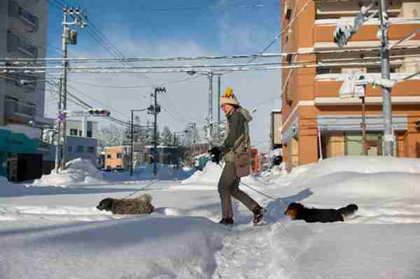 小米模块光学系统实拍样片来了：定制M4/3大底 手机秒变专业相机