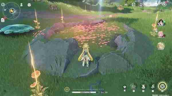 《鸣潮》妙弋花点位分享-妙弋花采集线路推荐