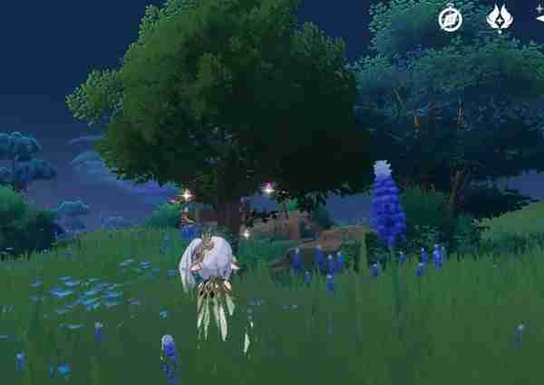 《原神》堇瓜点位分享-堇瓜采集线路推荐