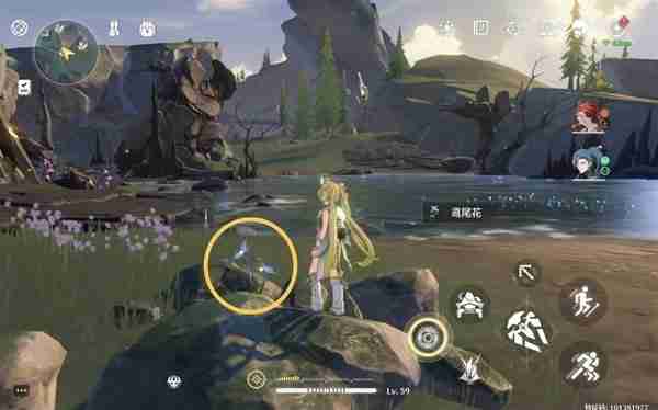 《鸣潮》鸢尾花位置说明-鸢尾花采集线路分享