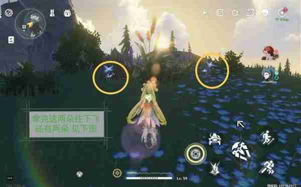 《鸣潮》鸢尾花位置说明-鸢尾花采集线路分享