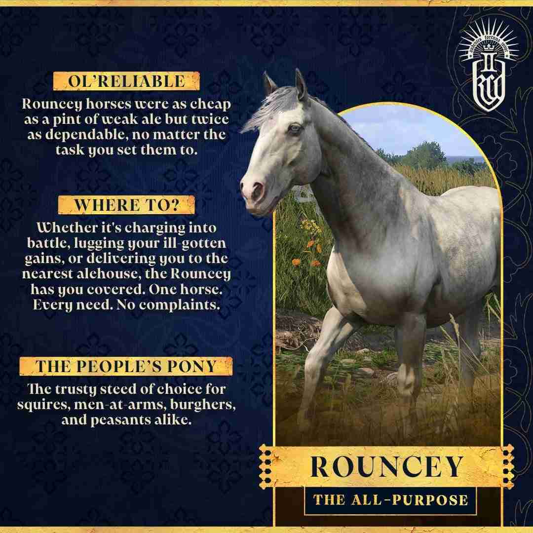 天国：拯救2马匹系统深度解析：骑乘伙伴的独特魅力与重要性