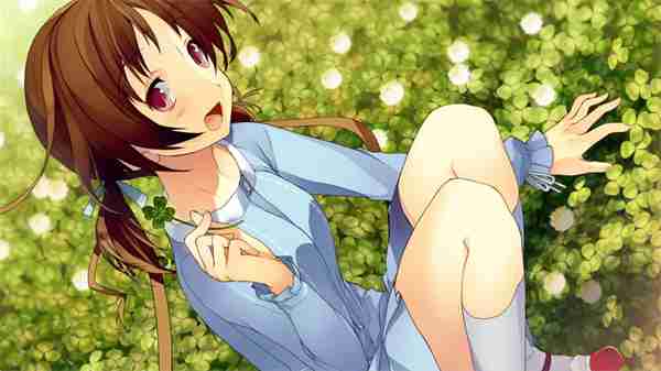 《恋爱与选举与巧克力》上线Steam页面  游戏即将发售