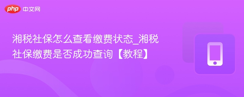 湘税社保怎么查看缴费状态_湘税社保缴费是否成功查询【教程】 - php中文网