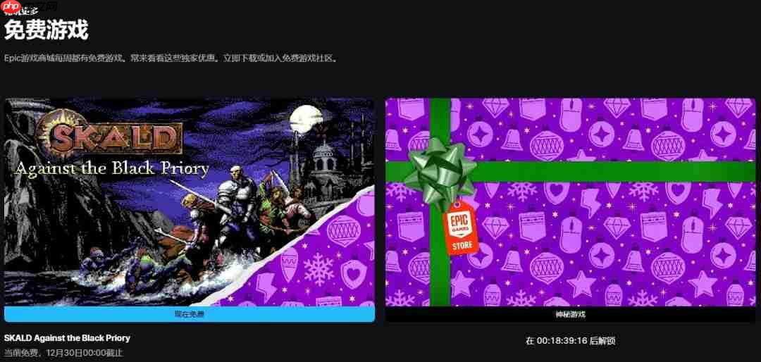 Epic公布第12款免费游戏 《SKALD：攻打黑修院》