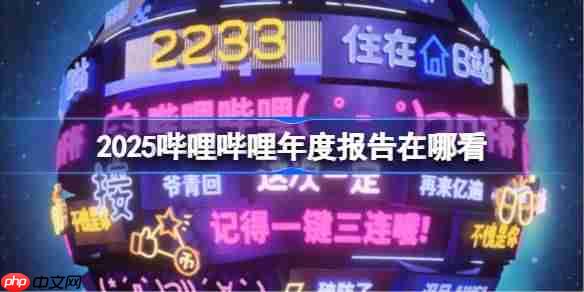 2025哔哩哔哩年度报告在哪看-b站年度报告2025地址分享