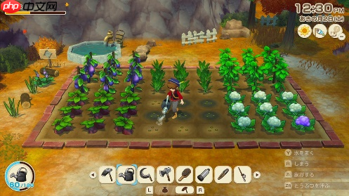 Marvelous 2025 冬季特卖来袭！ 2025 年新作齐聚登场