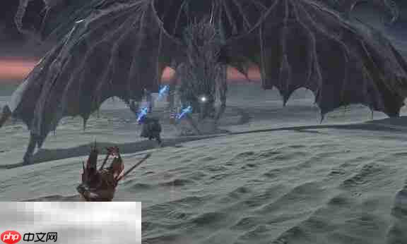 艾尔登法环黑夜君临雾中裂缝战斗指南 黑夜雾霾卡莉果弱点分析