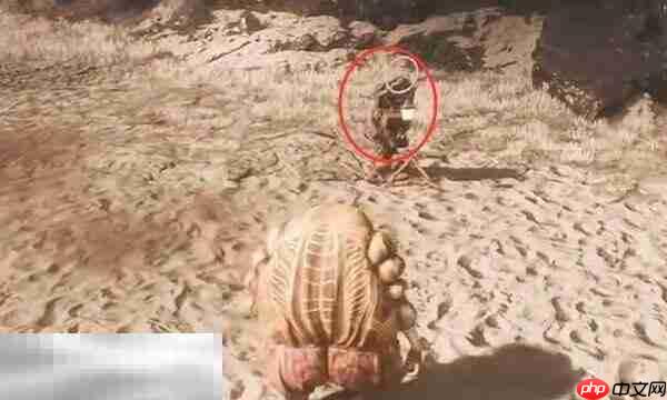 光与影33号远征队商人合集：商人可拉罗点位与售货单简介