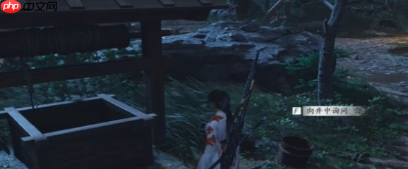 燕云十六声井中人怎么过关_燕云十六声井中人奇遇通关攻略