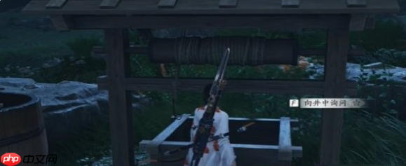 燕云十六声井中人怎么过关_燕云十六声井中人奇遇通关攻略