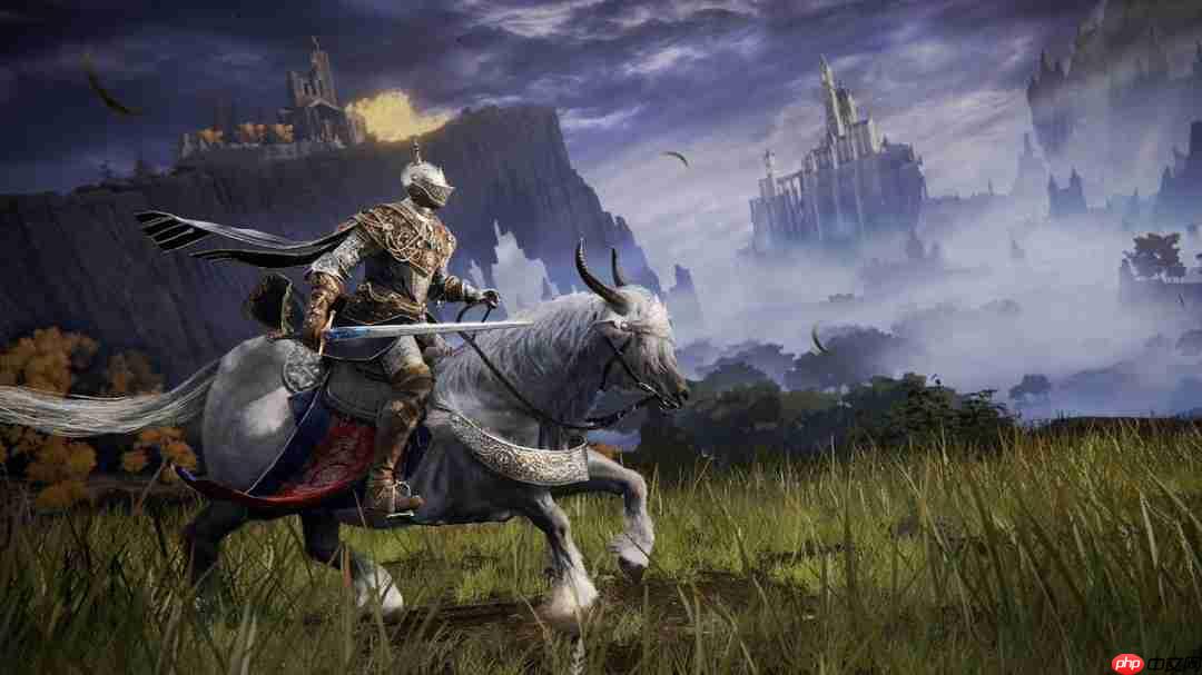 《艾尔登法环》NS2版优化还好 能正常玩了