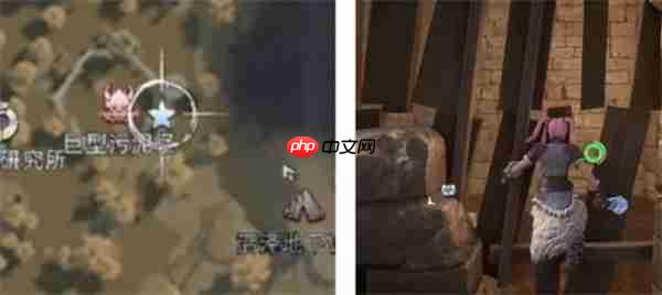 荒原曙光瘴气沼泽隐藏宝箱全收集汇总