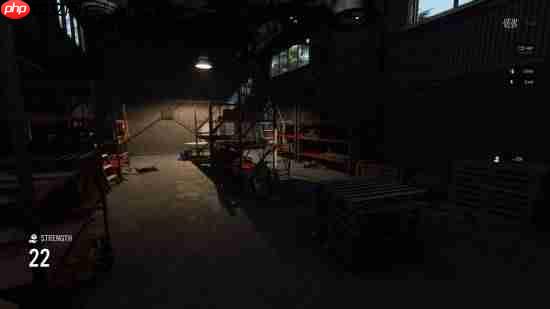 辐射+英灵神殿！硬核末日生存新游《VEIN》Steam特别好评！