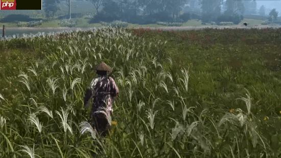 《燕云十六声》对比《羊蹄山之魂》《刺客信条影》：把外国玩家香晕了